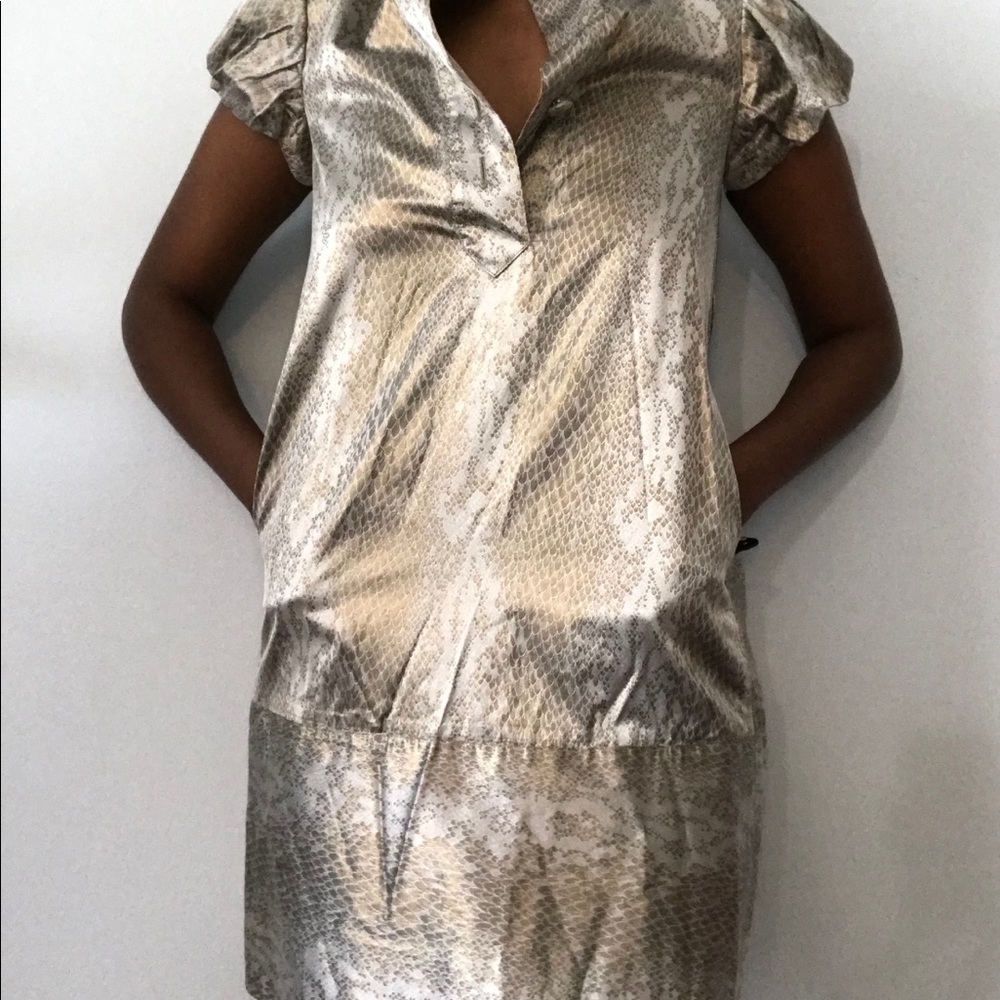 Diane Von Furstenberg silver dress